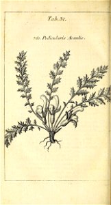 n579_w1150