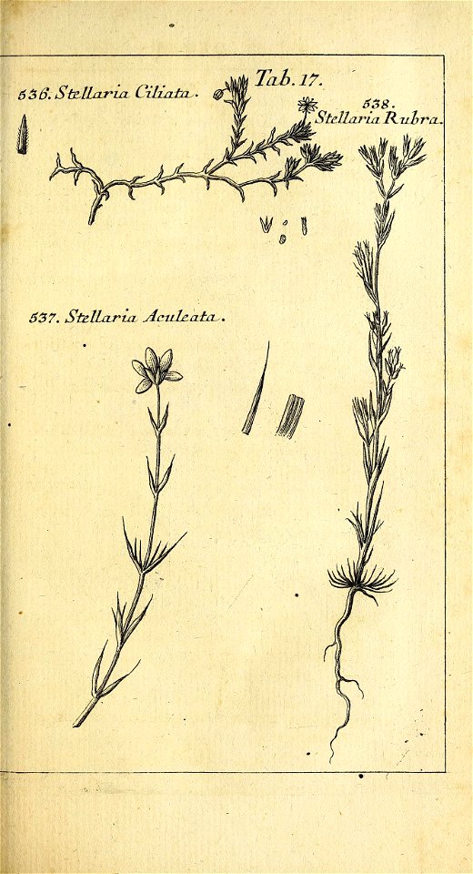 n426_w1150