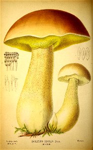 n137_w1150