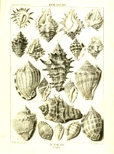 n108_w1150