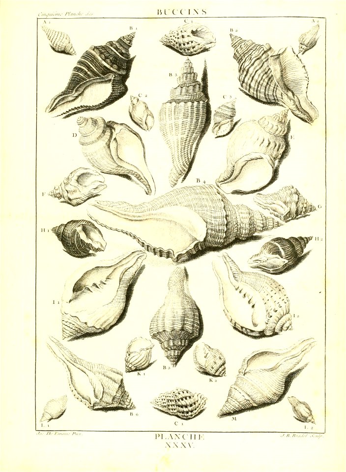 n154_w1150
