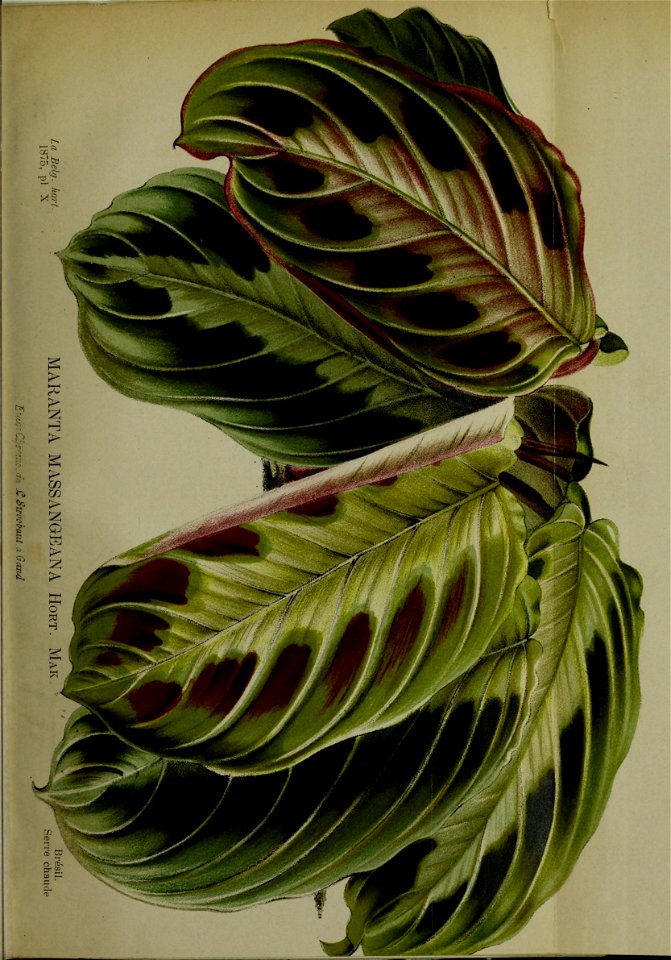 n198_w1150