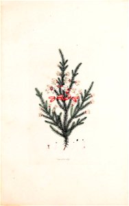 n208_w1150