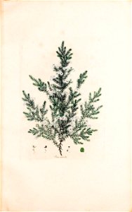 n144_w1150