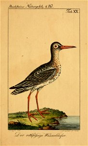n590_w1150