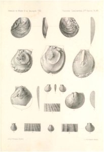 n456_w1150
