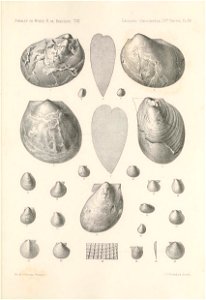 n452_w1150