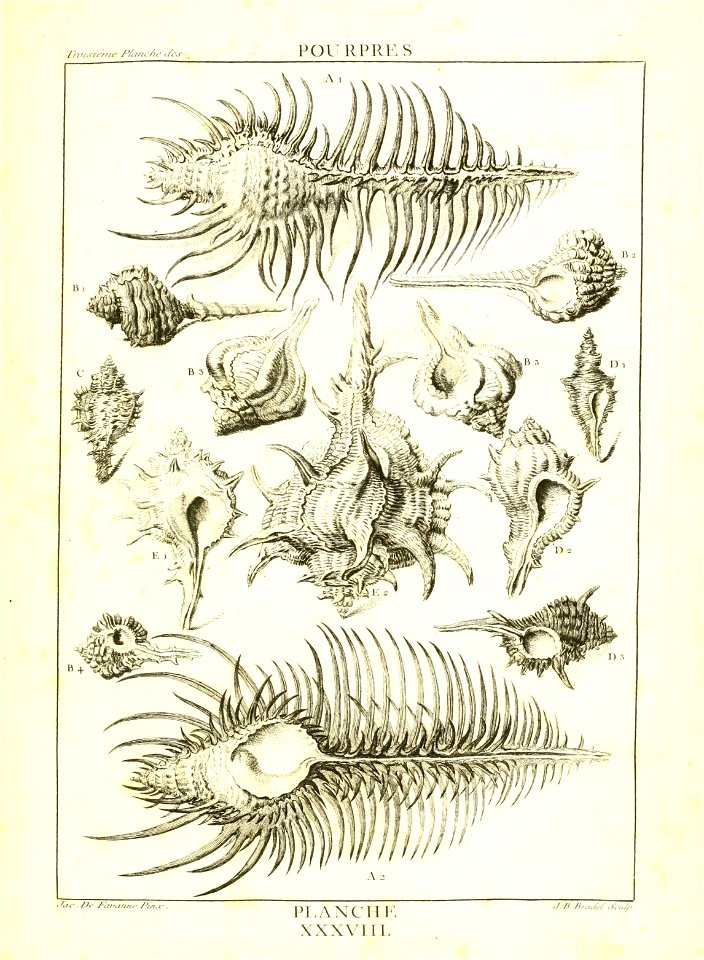 n166_w1150