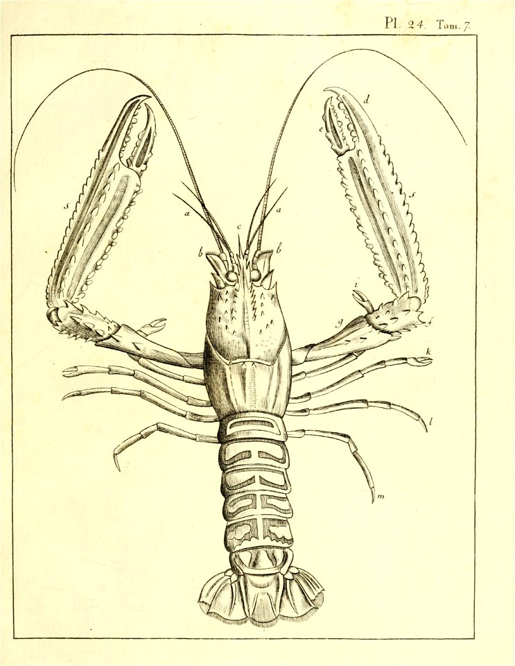 n1016_w1150
