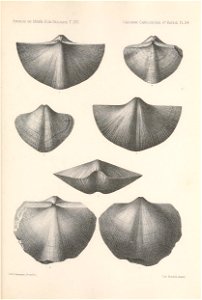 n274_w1150