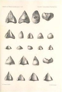 n214_w1150