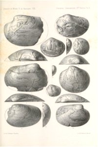 n316_w1150
