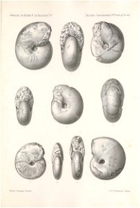 n508_w1150
