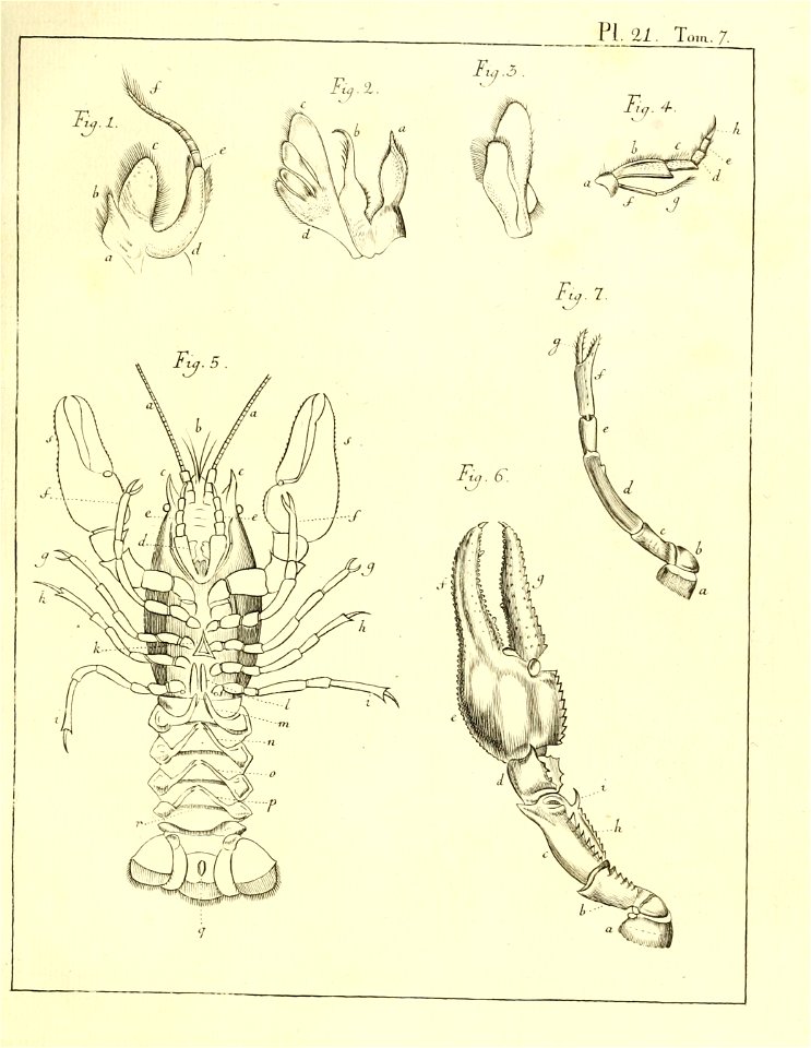 n1010_w1150
