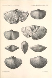 n270_w1150