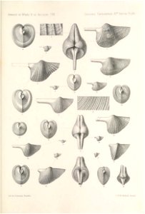 n372_w1150