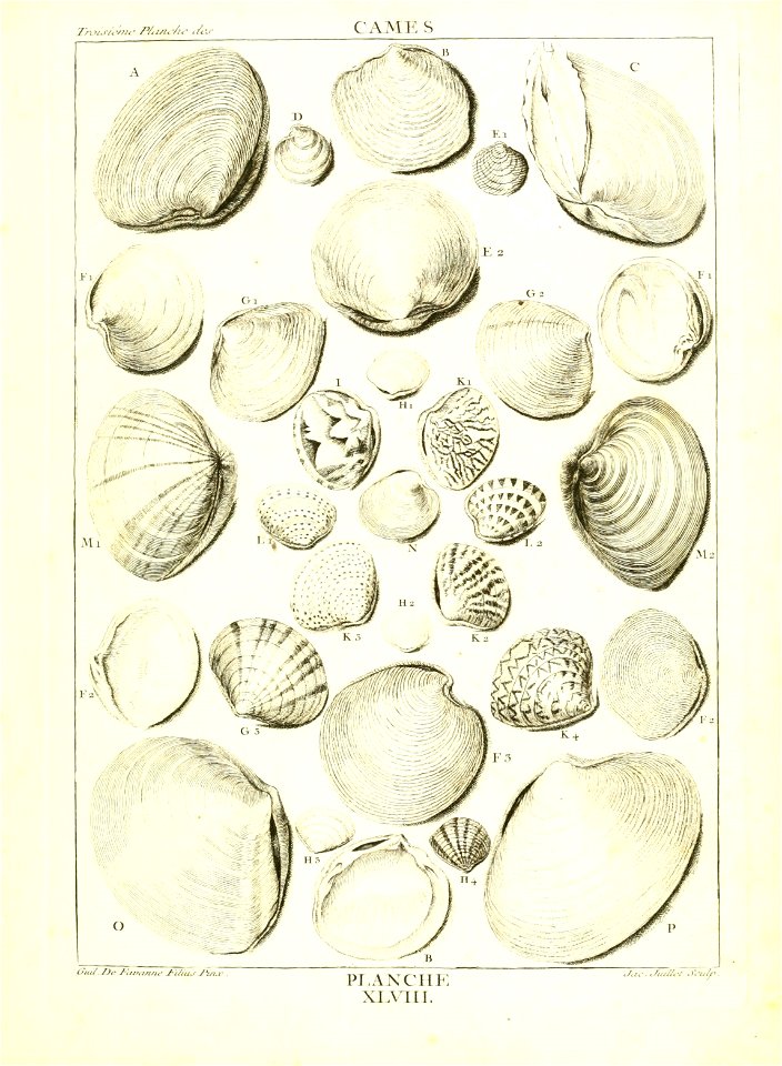 n206_w1150