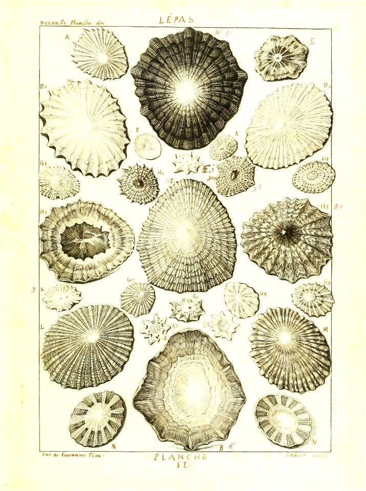 n18_w1150