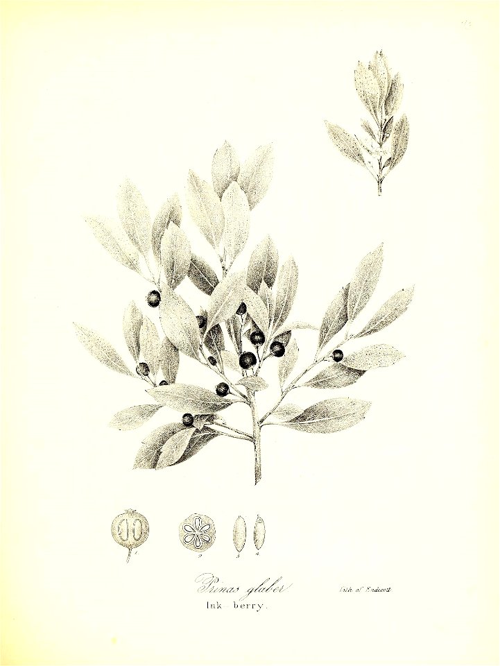 n584_w1150