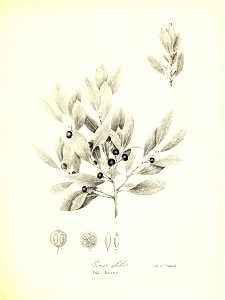 n584_w1150