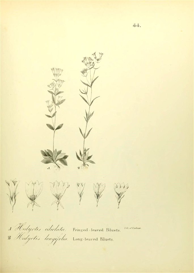 n594_w1150