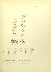 n594_w1150