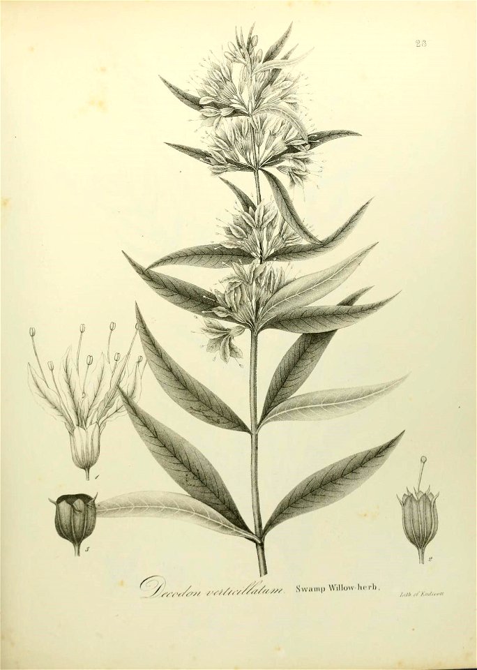 n562_w1150