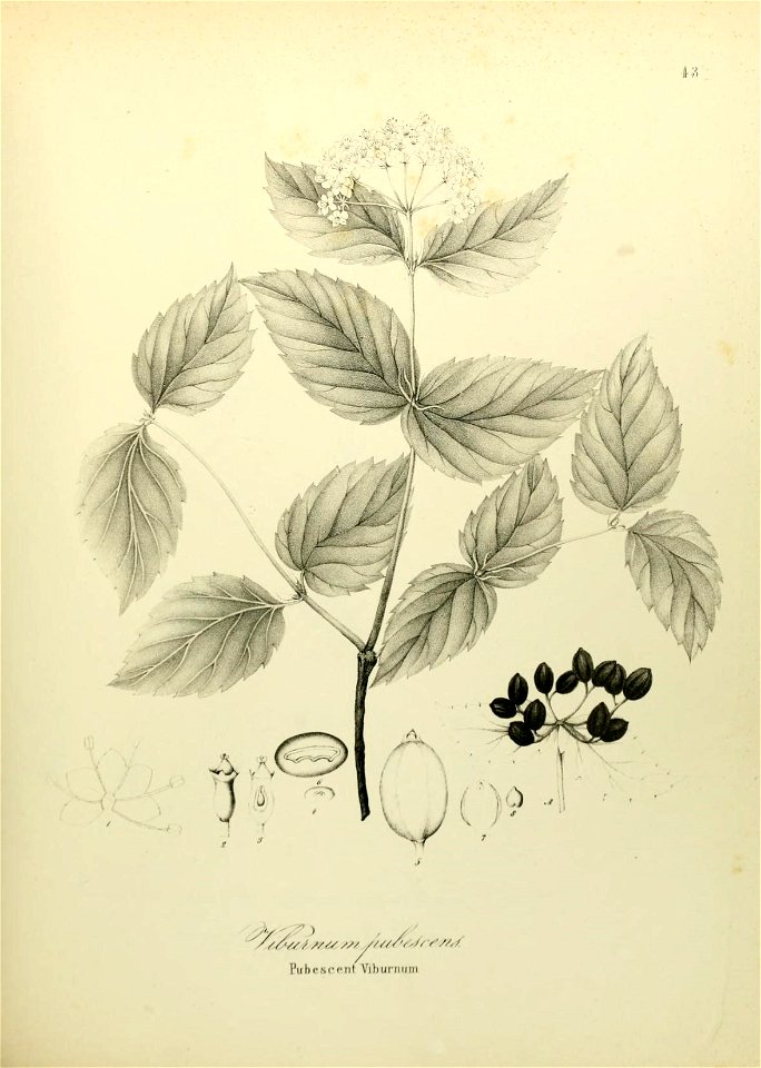 n592_w1150