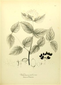 n592_w1150