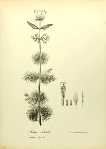 n622_w1150