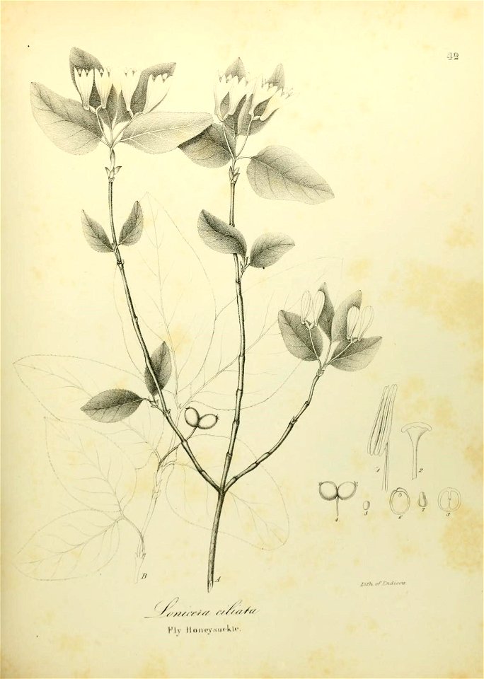 n590_w1150