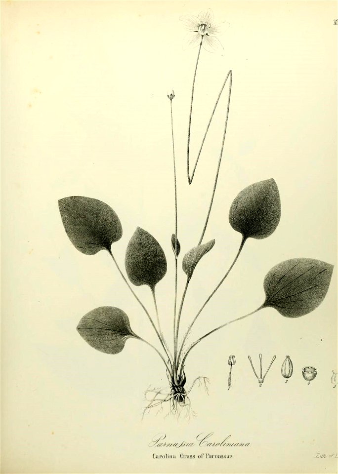 n528_w1150