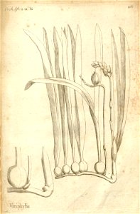 n149_w1150