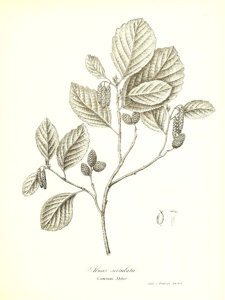 n670_w1150