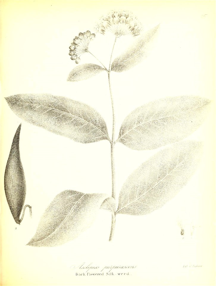 n610_w1150