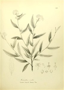 n546_w1150