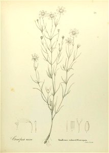 n620_w1150