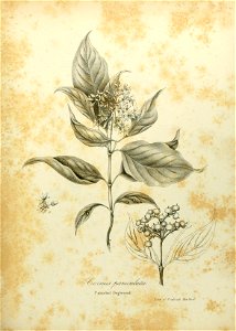n588_w1150