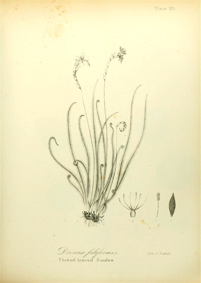 n526_w1150