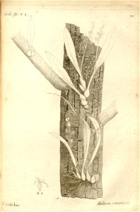n133_w1150