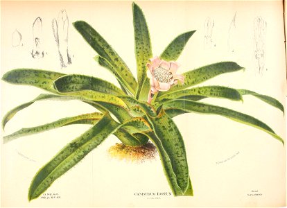 n219_w1150