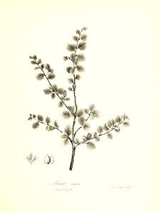 n668_w1150