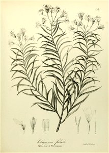 n618_w1150