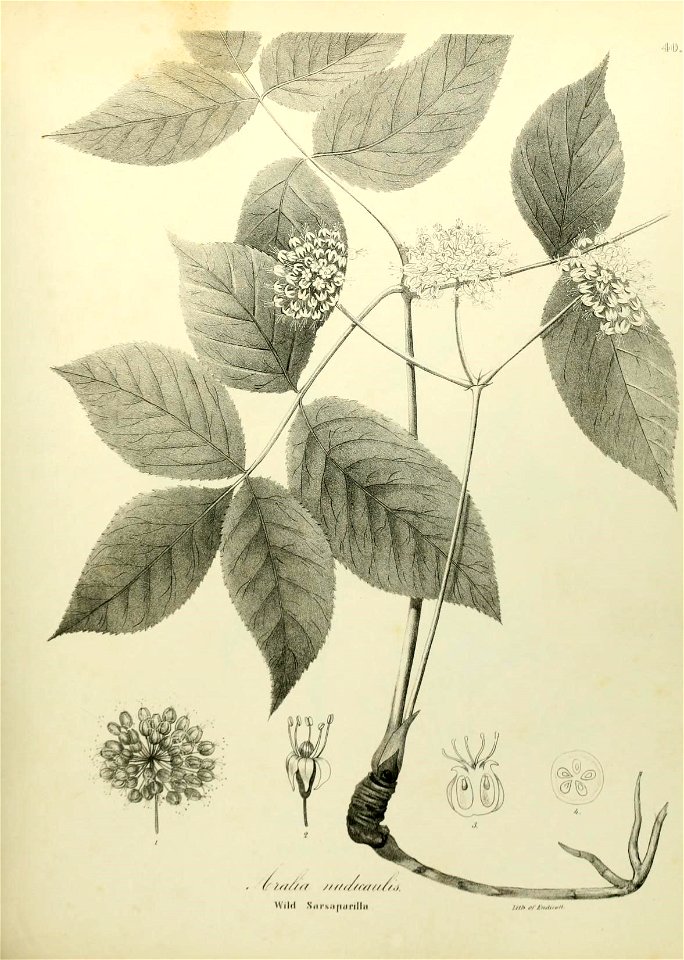 n586_w1150