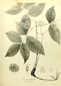 n586_w1150