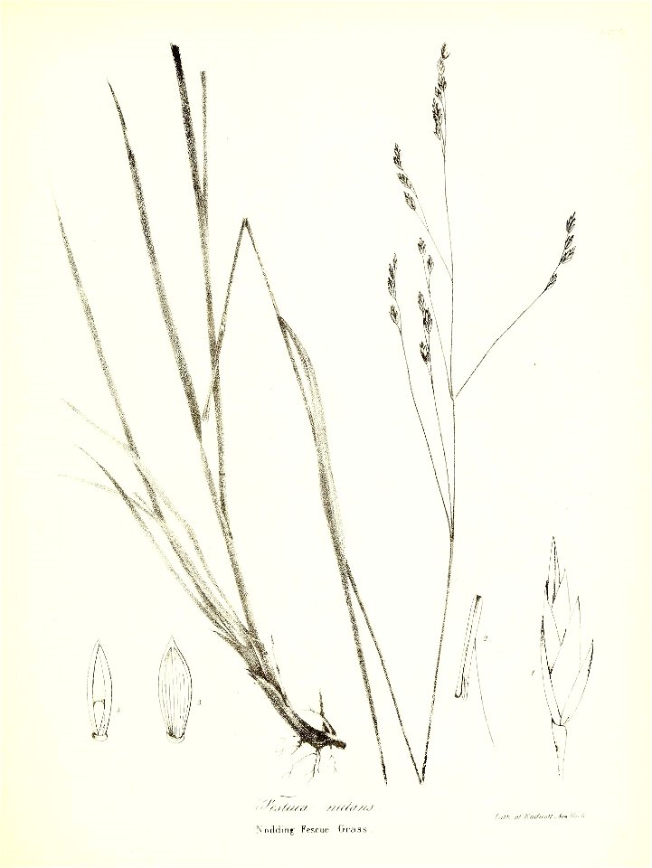 n758_w1150