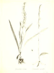 n698_w1150