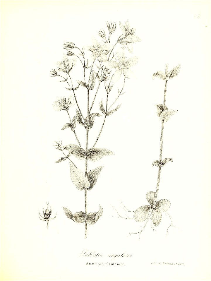 n606_w1150