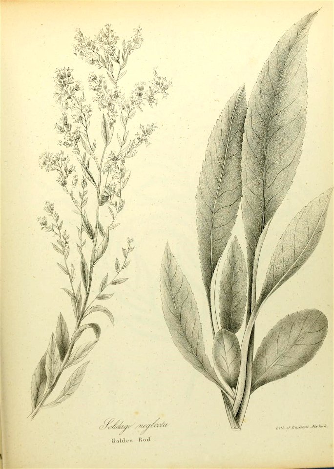 n616_w1150