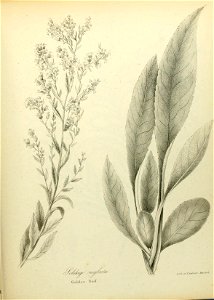 n616_w1150